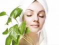 /album/fotogaleria-natura-belleza/images-6-jpg/